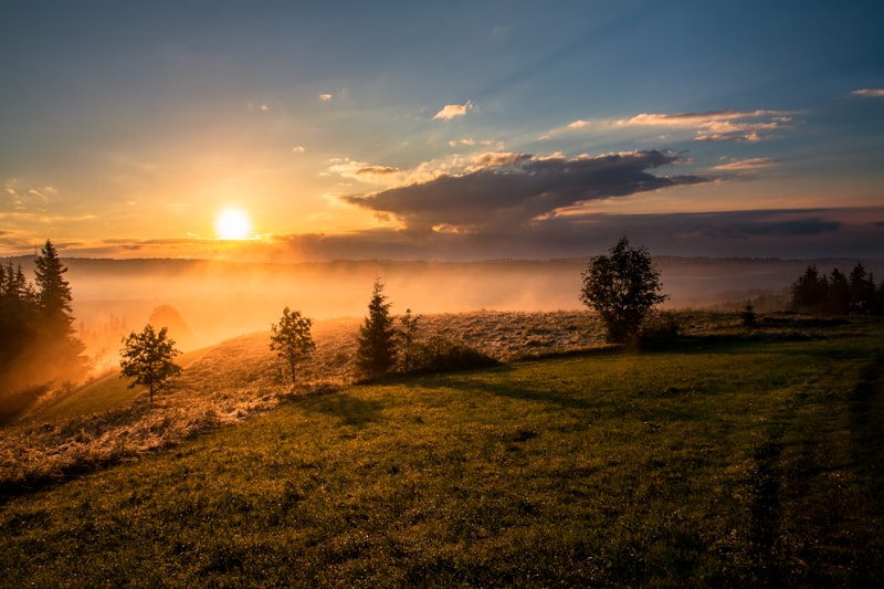 Golden sunset field evoking nostalgia